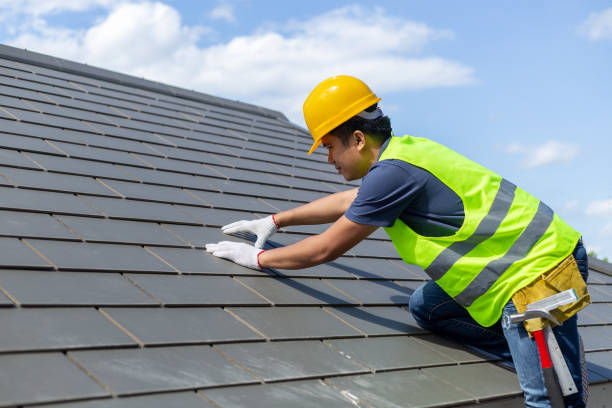 Best Metal Roofing Contractor  in Paola, KS