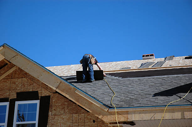 Best Metal Roofing Contractor  in Paola, KS